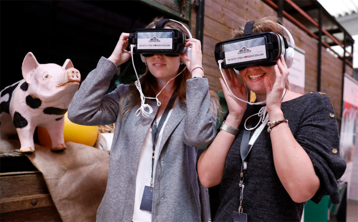 EDEKA NORD GUTFLEISCH